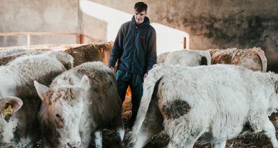 SRUC launches new rural animal health course